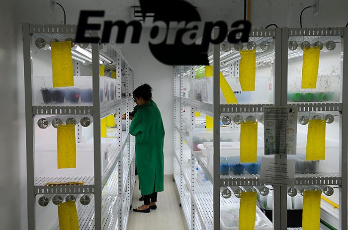 CRA faz audiência pública sobre 50 anos da Embrapa