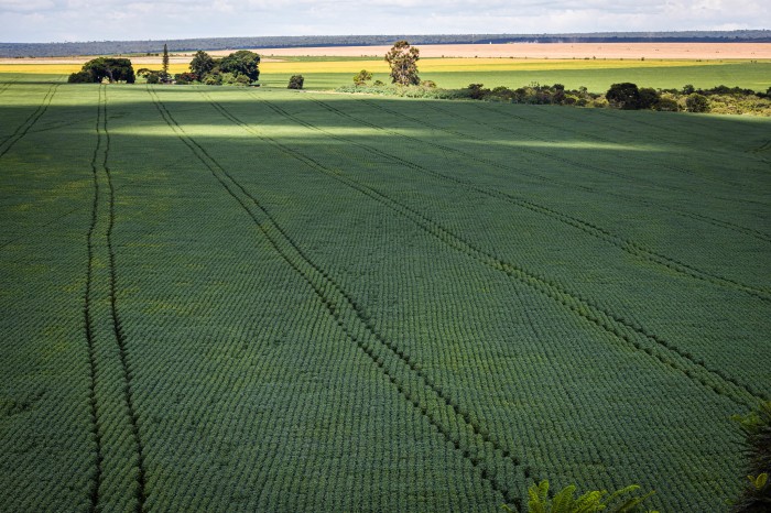 Senado aprova mudança no cálculo do preço mínimo de produtos agrícolas