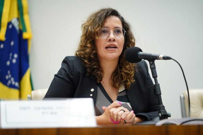 Comissão debate legislação sobre patrimônio cultural