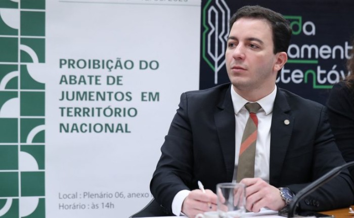 Especialistas pedem fim do abate de jumentos para evitar extinção da espécie
