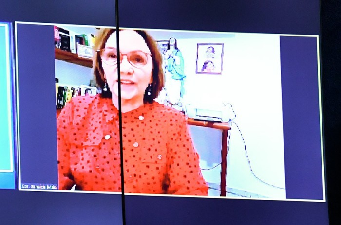 Ataque à democracia foi influenciado por Bolsonaro, diz Zenaide
