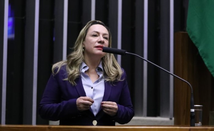 Comissão aprova projeto que assegura amparo da Lei Maria da Penha a mulheres de forças de segurança