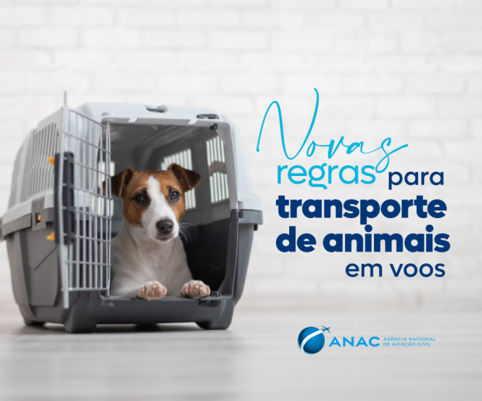 ANAC publica portaria que aborda os aspectos do transporte de animais