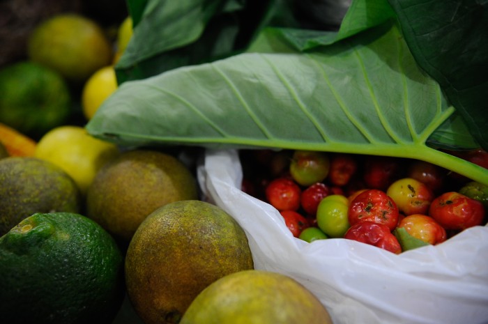 Conferência Nacional de Segurança Alimentar será em dezembro