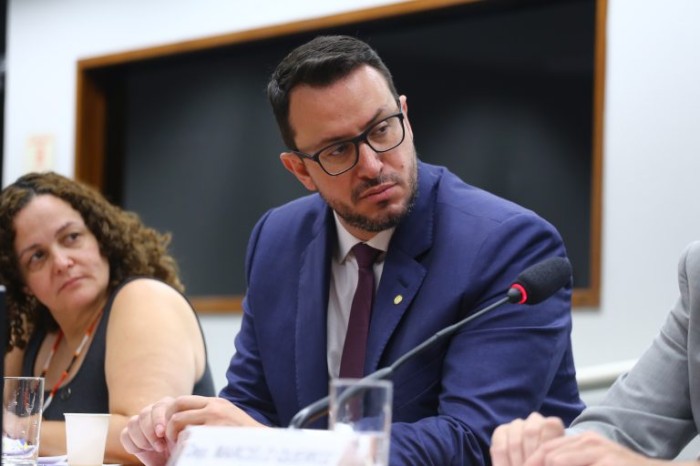 Especialistas cobram recursos e política pública para controle populacional de cães e gatos