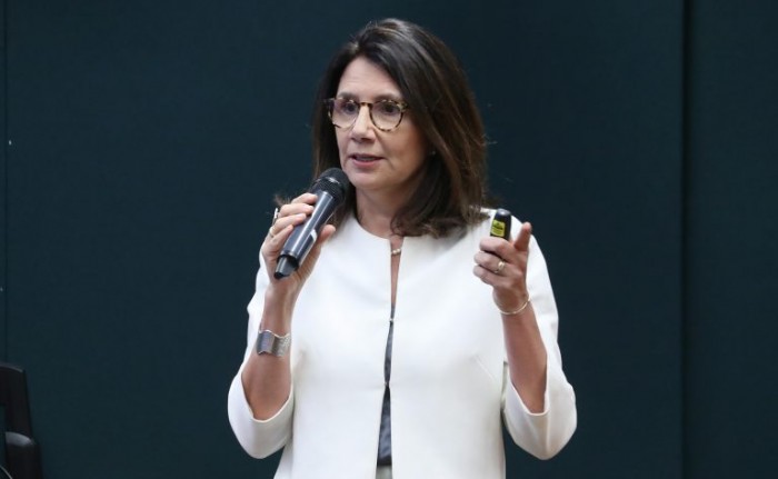 Governo espera elevar fundo de mudanças do clima para R$ 10,4 bilhões em 2024