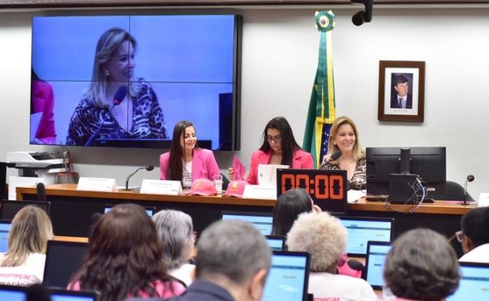 Debatedores defendem mais verbas para ações de enfrentamento ao câncer de mama