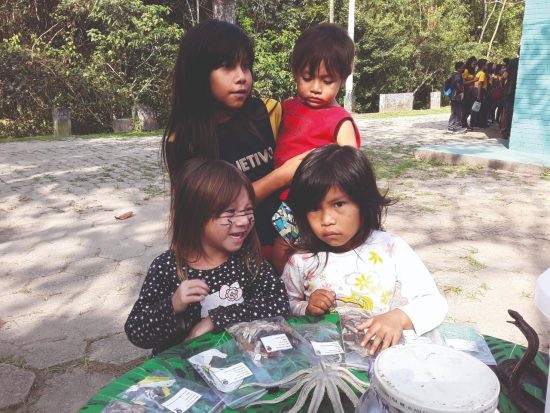 Programa remunera povos originários por serviços ambientais em parques estaduais de SP