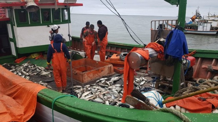 Comissão de Agricultura vai debater refinanciamento das dívidas de pescadores