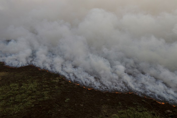 Brigadistas intensificam trabalho de combate a incêndios no Pantanal
