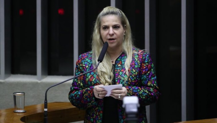 Comissão vai debater a invisibilização do trabalho doméstico