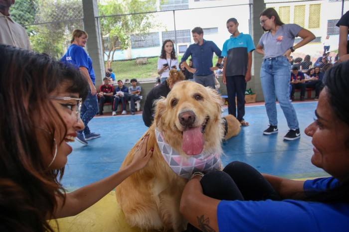 ‘Procão’ Paulista: Escola de SP recebe estudantes com ‘pet terapia’ antes da avaliação
