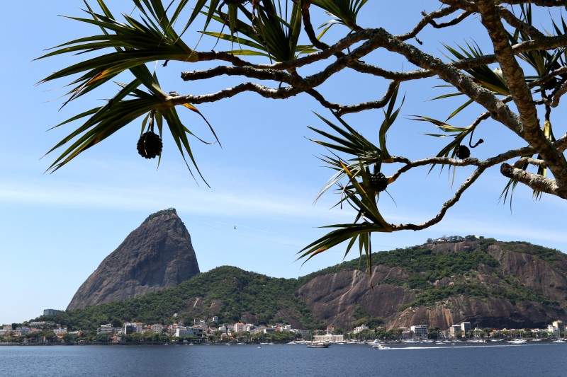 Bondinho Pão de Açúcar completa 110 anos