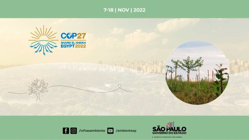 COP27: SP representará governos subnacionais da América Latina e Caribe
