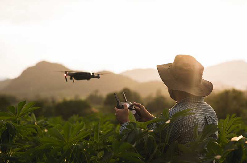 Política de incentivo à agricultura e à pecuária de precisão é sancionada