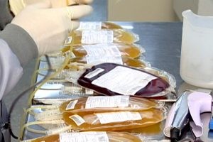 Sancionada com veto lei que facilita localização de doadores de medula óssea