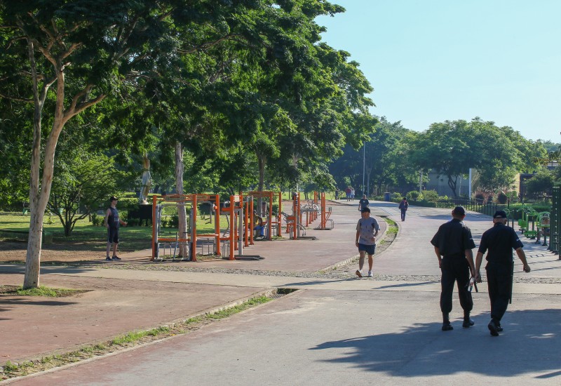 Verão nos Parques de SP tem mais de 120 atividades culturais e de lazer