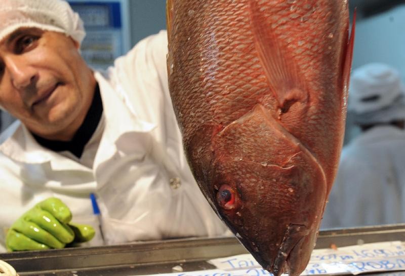 Semana do Pescado quer criar nova temporada de consumo no 2º semestre