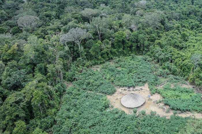 Medida provisória libera dinheiro para proteção de povos indígenas